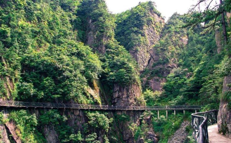 熊出没百层大冒险